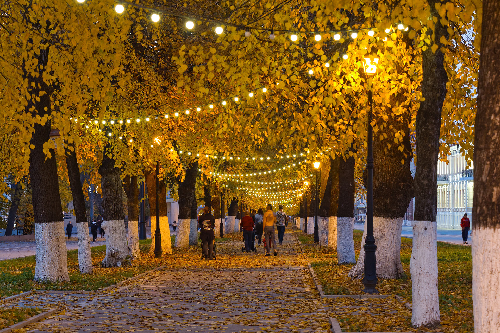 Владикавказ (Vladikavkaz)